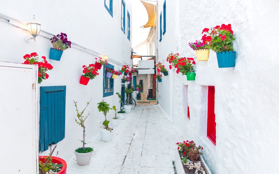 Aegean Dream